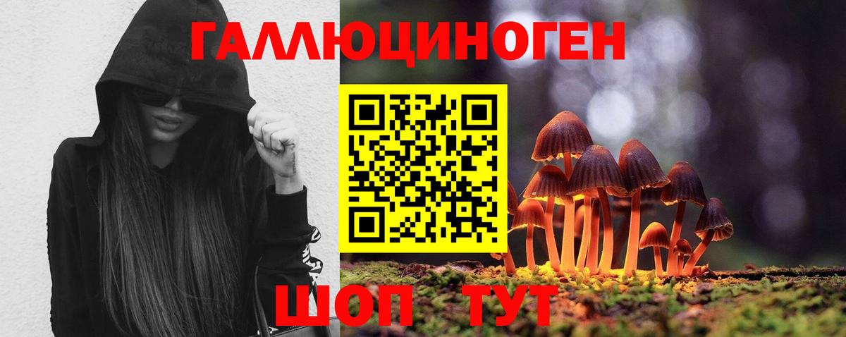 Псилоцибиновые грибы ЛСД  Галлюциногенные грибы мухоморы  Десногорск  Вход с VPN 