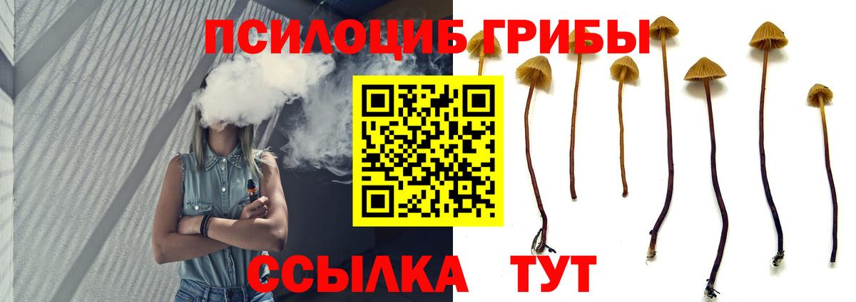 Галлюциногенные грибы MAGIC MUSHROOMS Десногорск