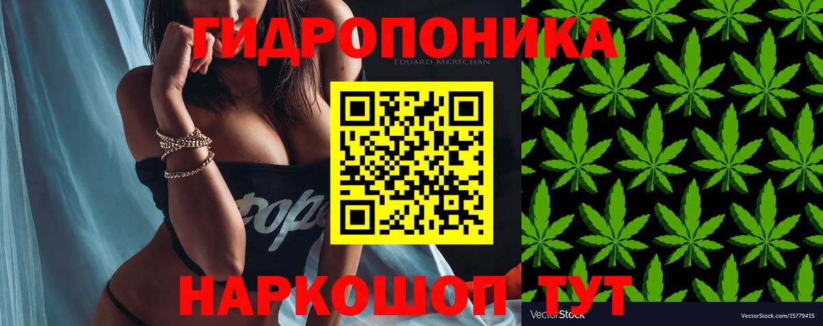 Бошки марихуана SATIVA & INDICA  Вход с VPN  МАРИХУАНА план  Канабис MAZAR  МАРИХУАНА Amnesia  Десногорск 